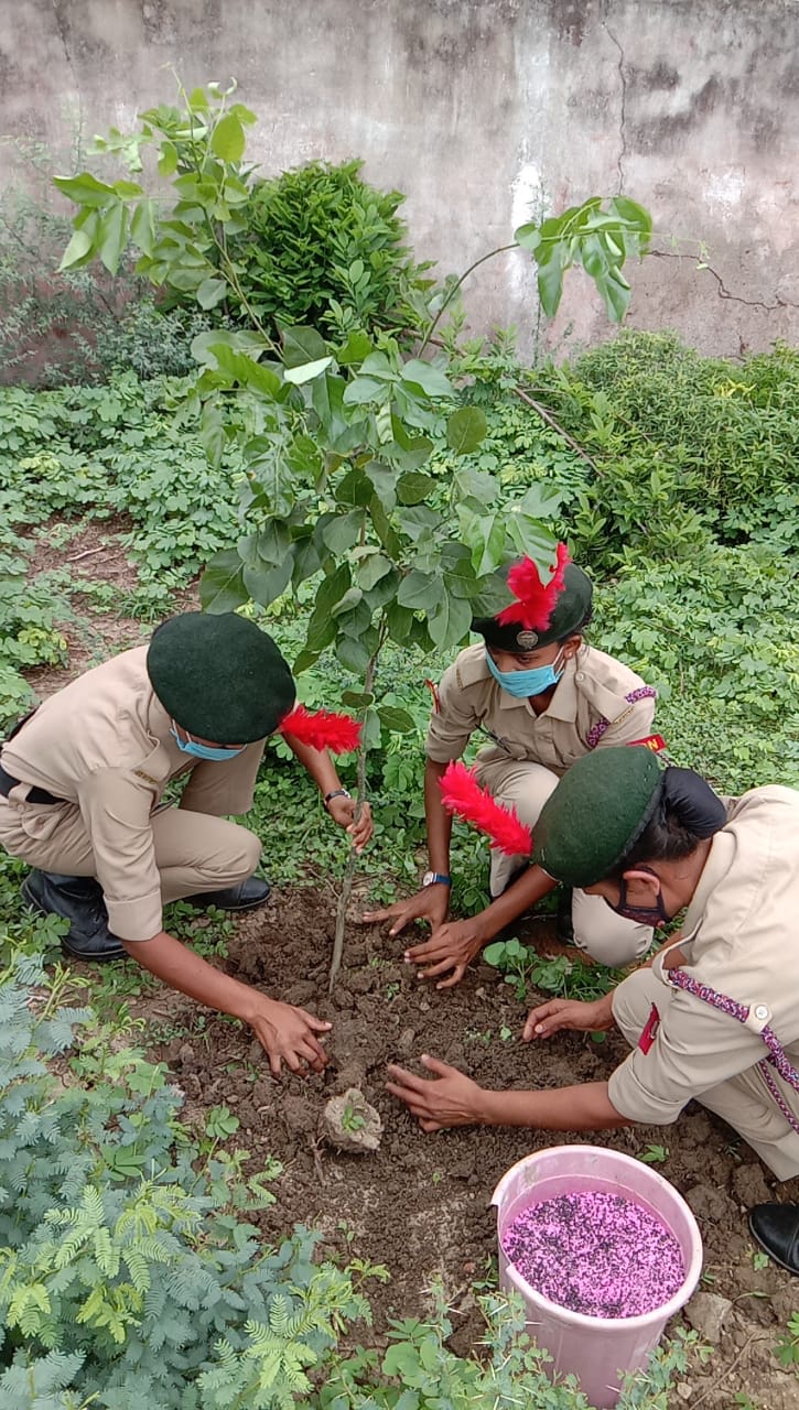 NCC Event - Plantation